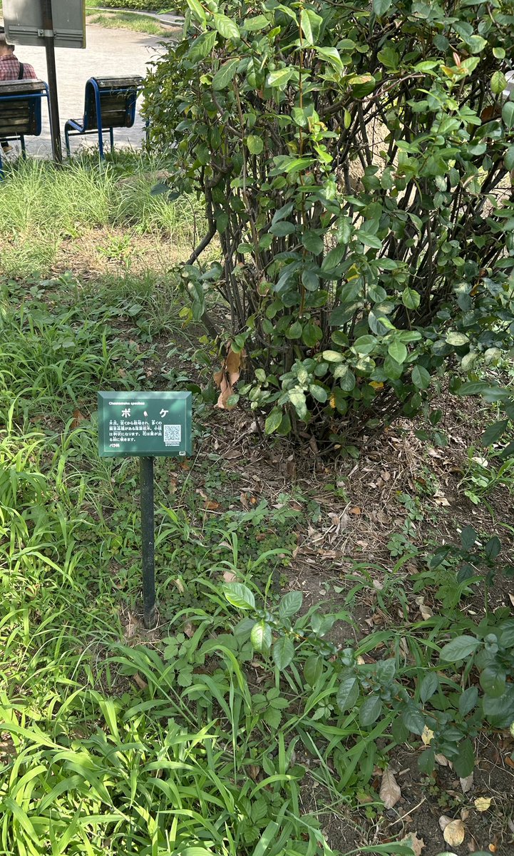 ウイスキーがお好きでしょう