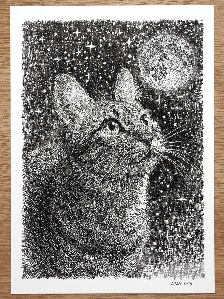 ペン画 お月見猫さん 完成しました!!🌕🐈 お月見の季節になりましたね