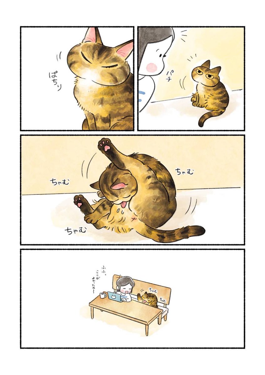 まとめ⑦
猫を飼っていて嬉しい瞬間 