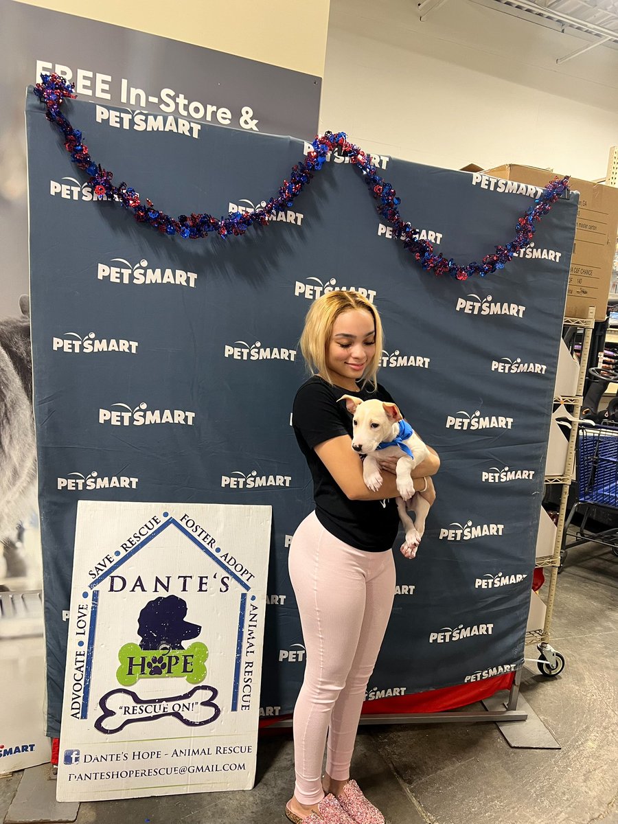 desadoreee's tweet image. k so i adopted another dog today 😊