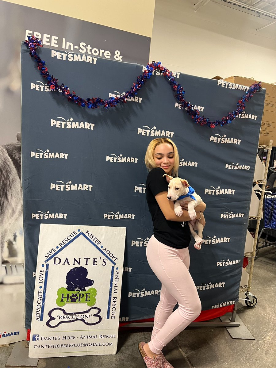 desadoreee's tweet image. k so i adopted another dog today 😊