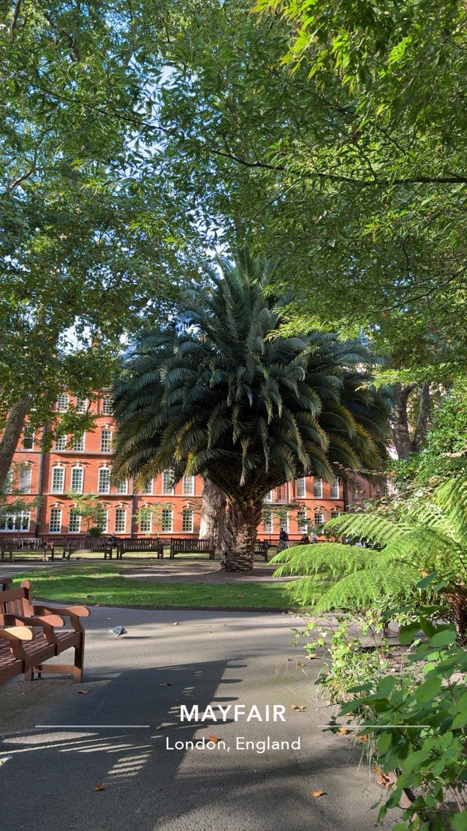 ماجد العصيمي tweet media