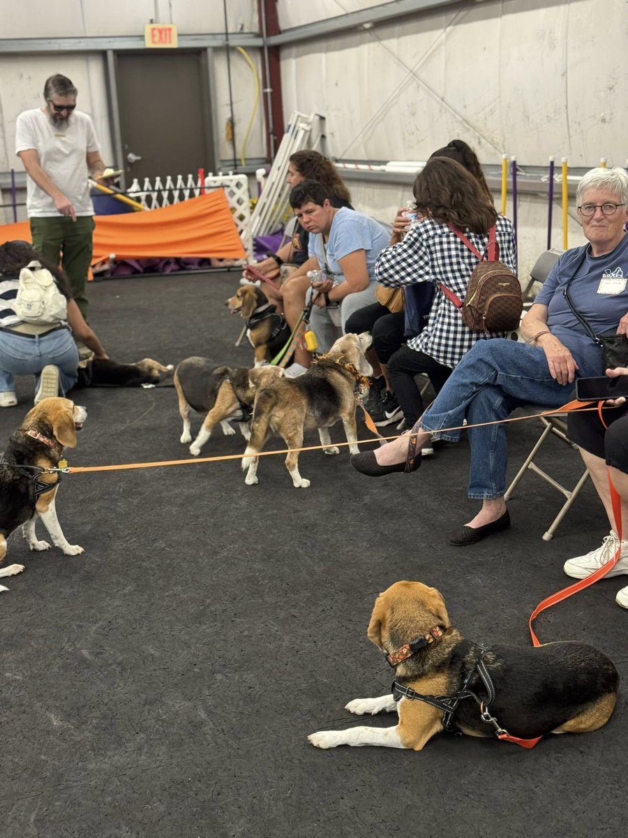 Thanks to everyone who attended our Beagle Bash!