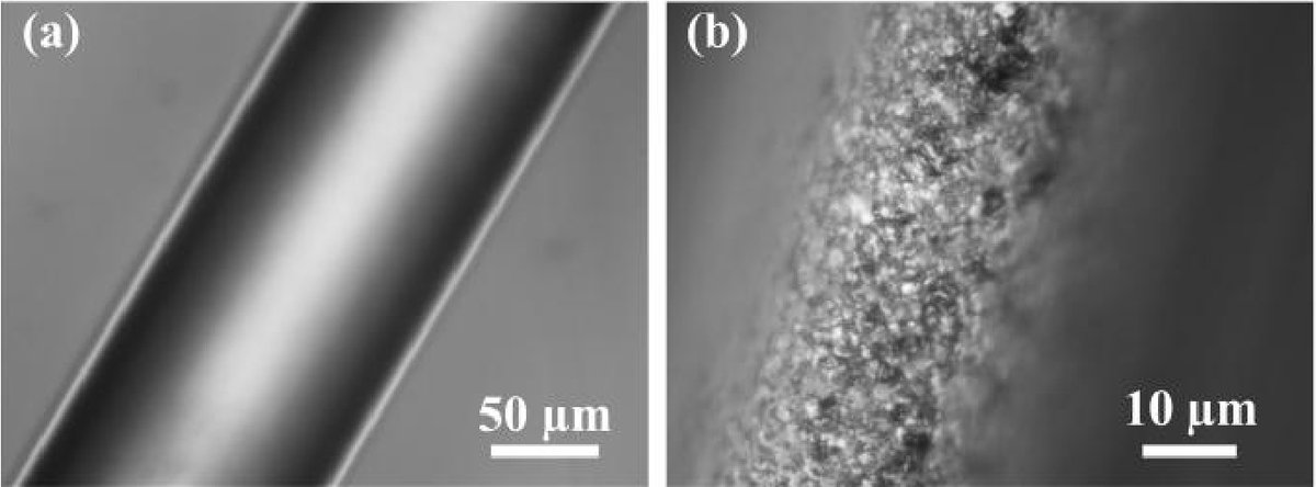OpticaPubsGroup's tweet image. An Editors&apos; Pick via #OPG_BOEx: Glucose detection using a tilted fiber Bragg grating coated with a GO-PBA composite layer bit.ly/4pDcpdf #GlucoseSensor #DiabetesMellitus #FiberBraggGrating