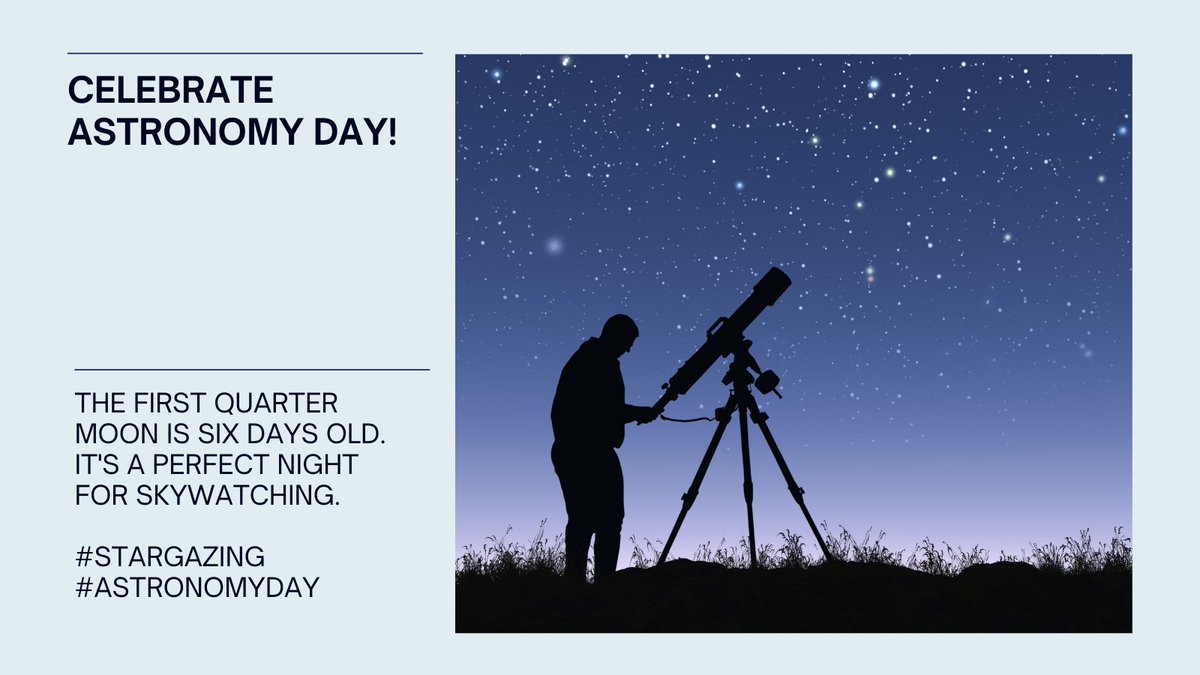 The Original Feed tweet media