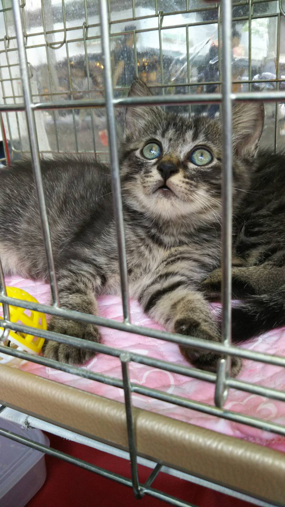 Mokaさん 楽しむ。それだけ。