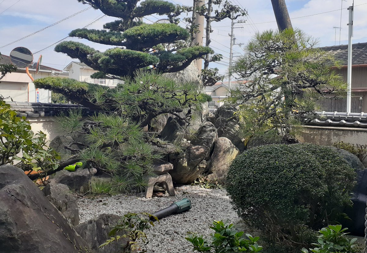 niwakozo's tweet photo. 本日地元町で剪定✂️
今日もやっぱり空調服手放せないっす💦 https://t.co/AKwzj8RbV2