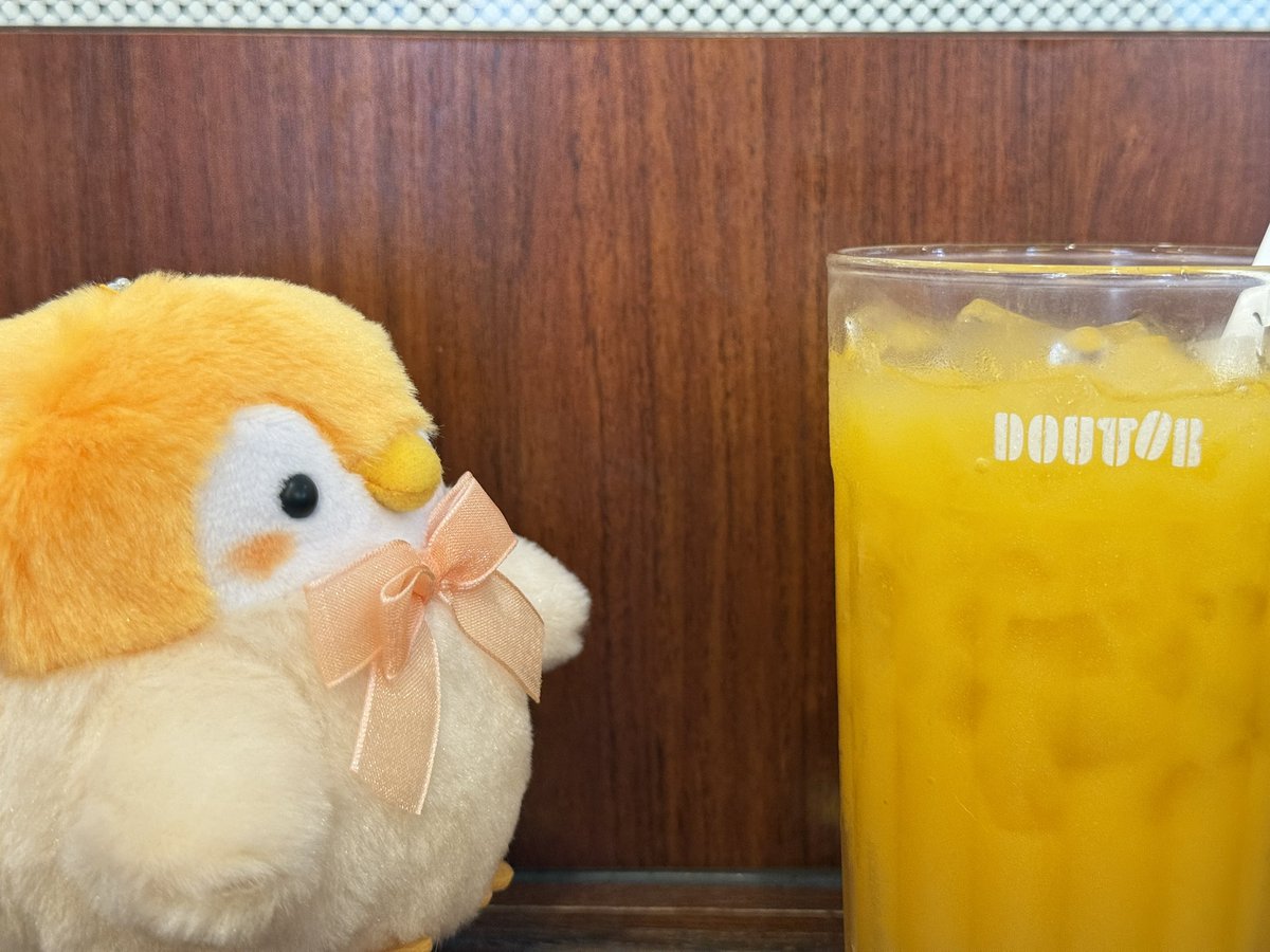 ぼくと同じ色かも…？🍊

#コウペンちゃん #ぬい撮り