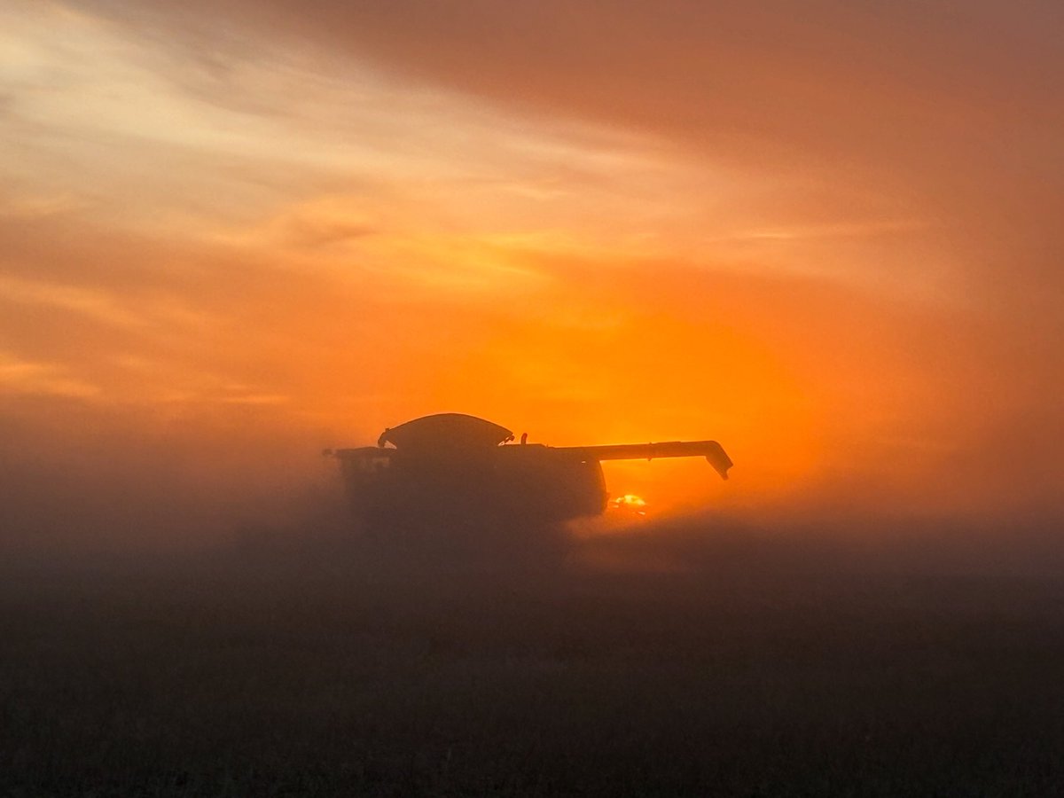 Finally got a nice pic of #Harvest25 #NoFilter <a href="/Andrew_Dalgarno/">Andrew Dalgarno</a> <a href="/DalgarnoBruce/">Bruce Dalgarno</a> <a href="/dalgarno6950/">Carol dalgarno</a> <a href="/jennld1983/">Jennifer Dalgarno</a>
