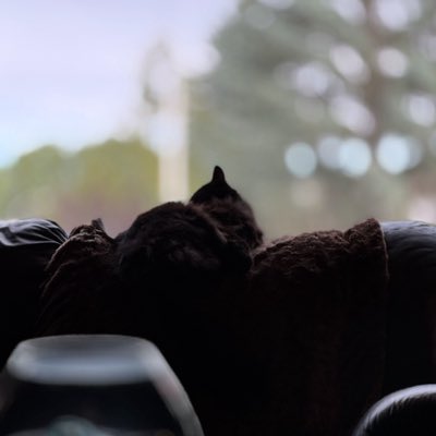 jayde_lemke's tweet photo. #NewProfilePic https://t.co/z7EZUR6DPD
