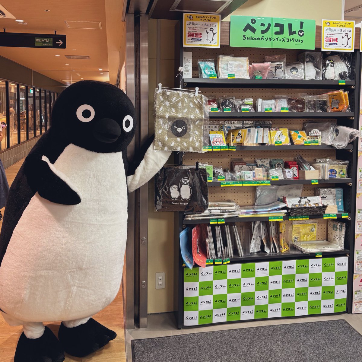 Suicaのペンギン - Search / X