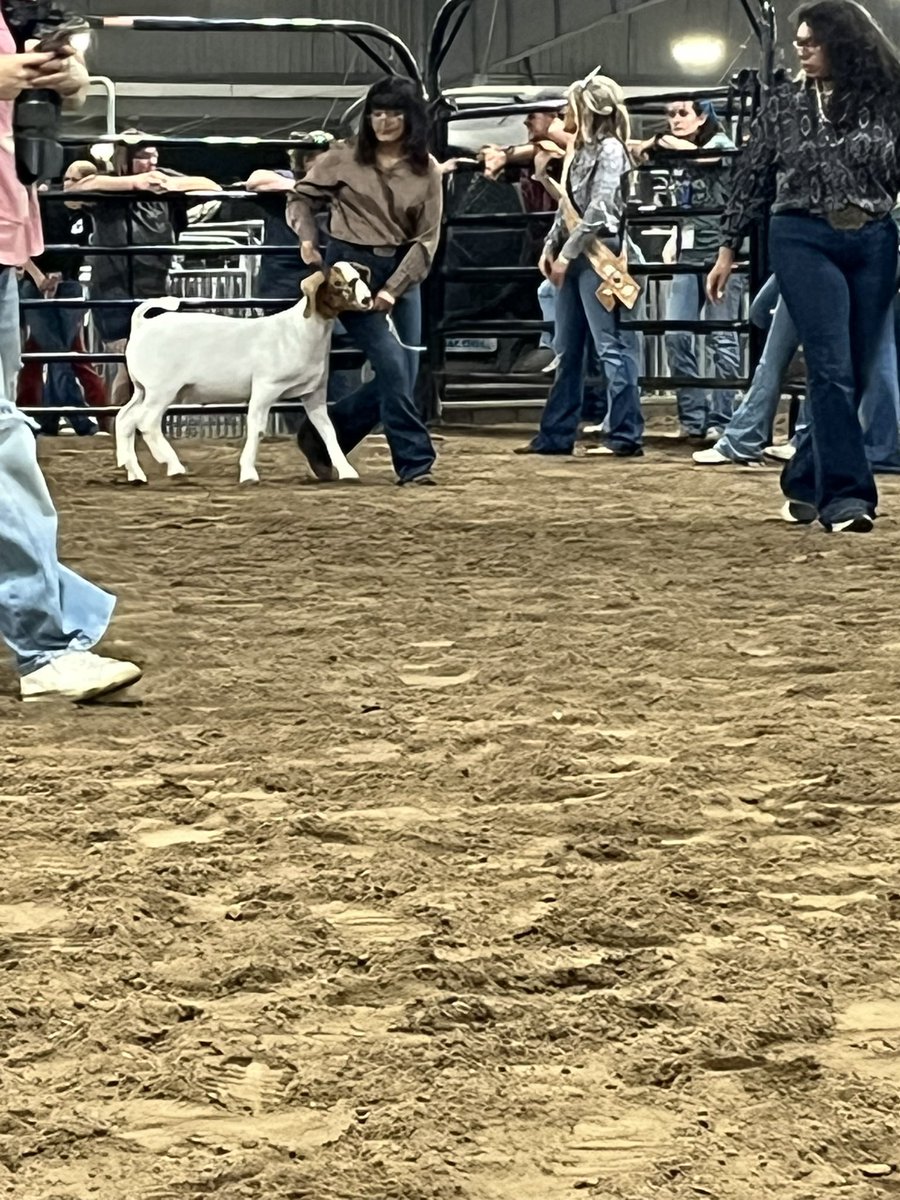 Hightower FFA tweet media