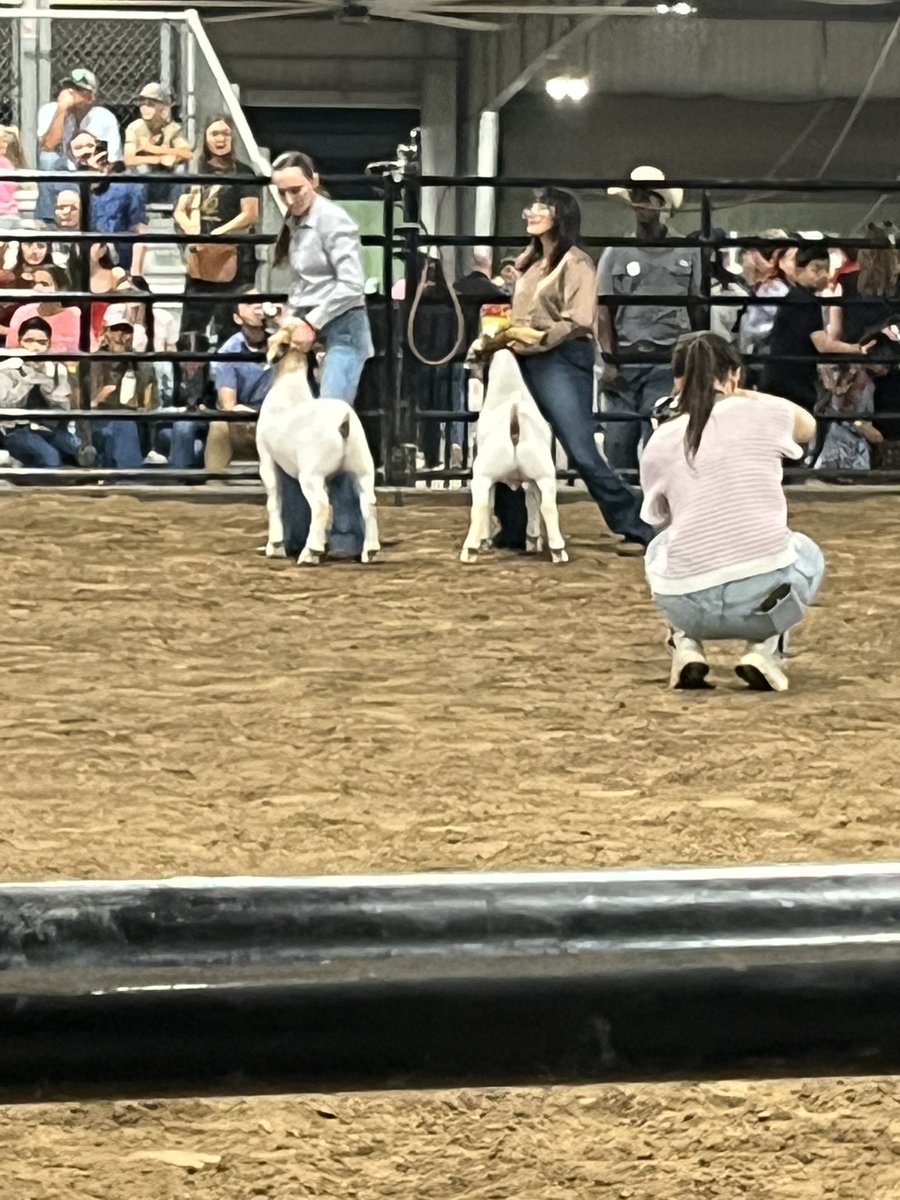 Hightower FFA tweet media
