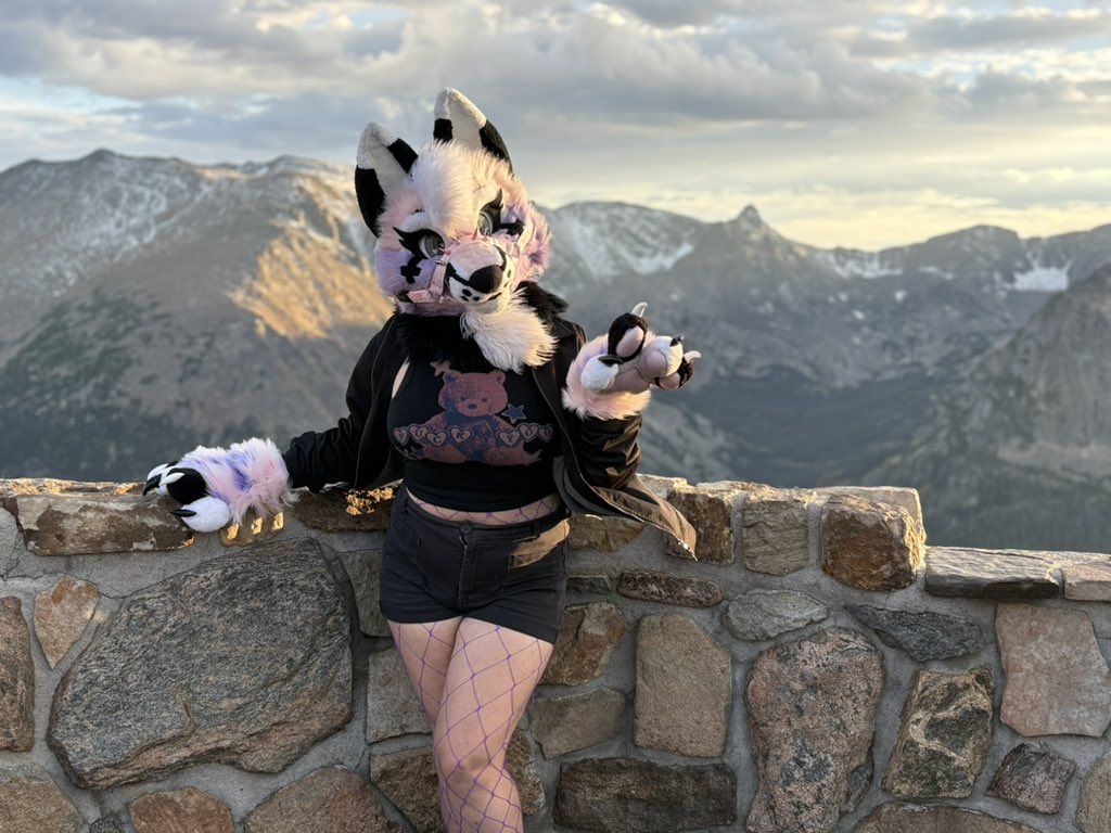 Puppy in the mountains!! 🐶💜🏔️