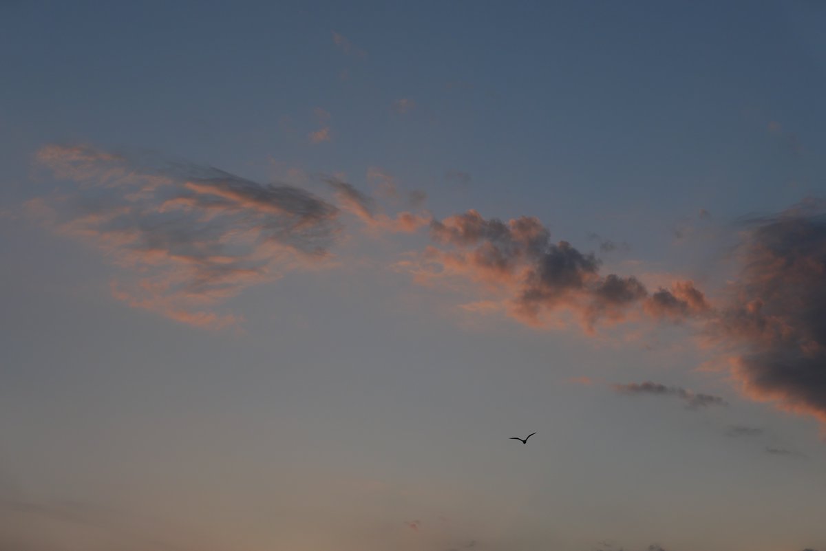 昨日のおさんぽ