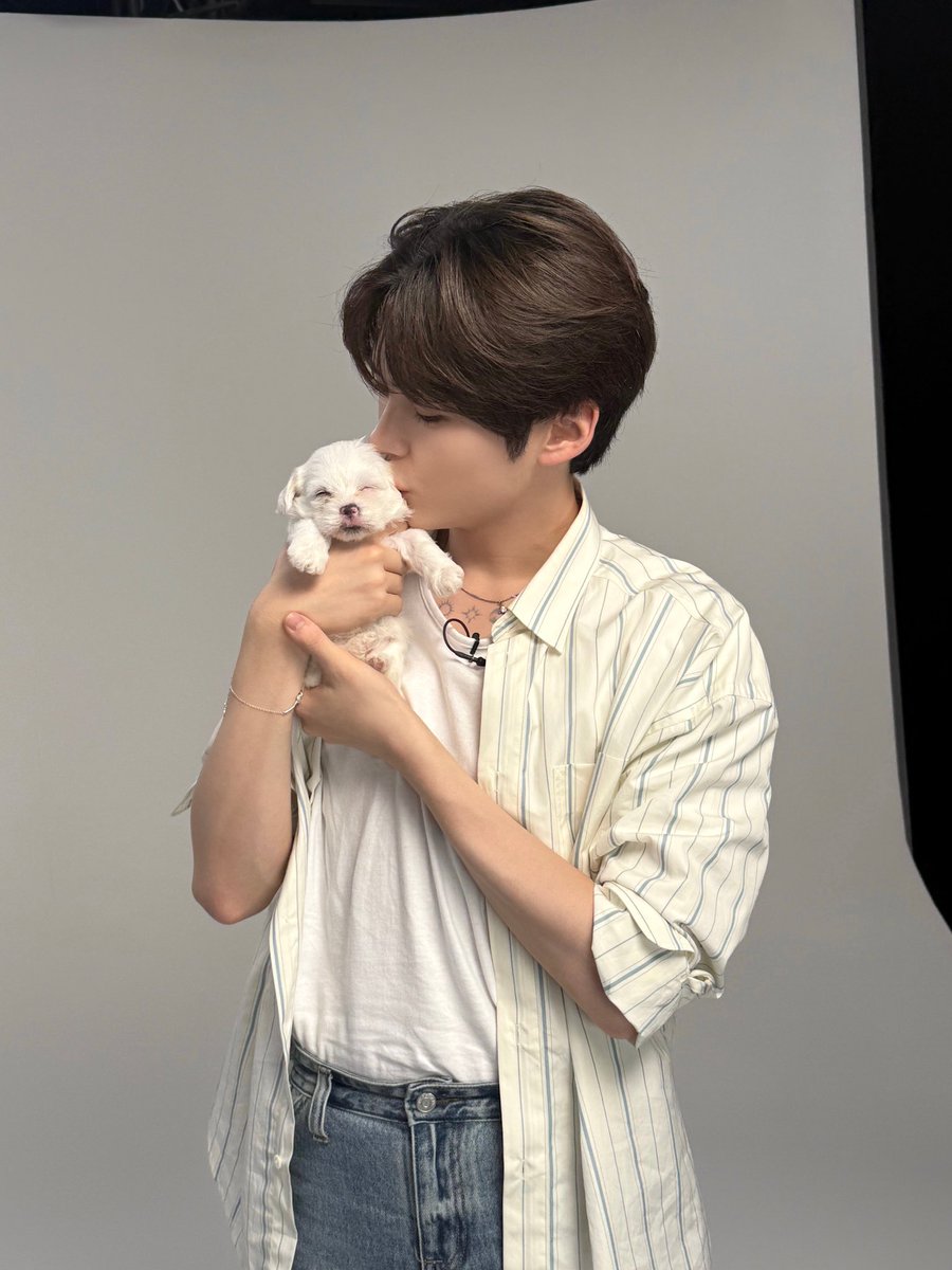 sunnghanbin's tweet photo. I’d like to believe that in another universe, I, too, am a puppy. https://t.co/hGq49uNtaE