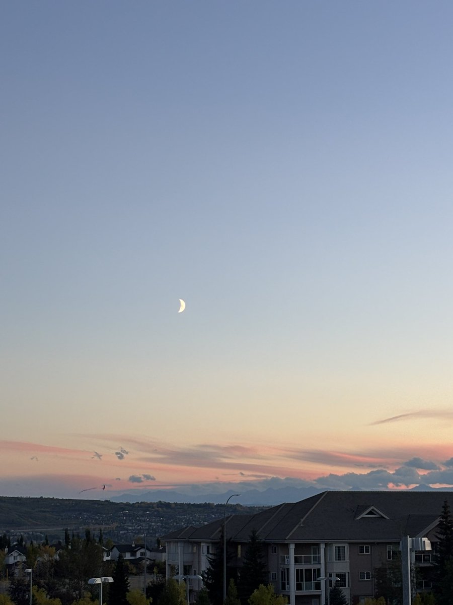 my view whenever i come home