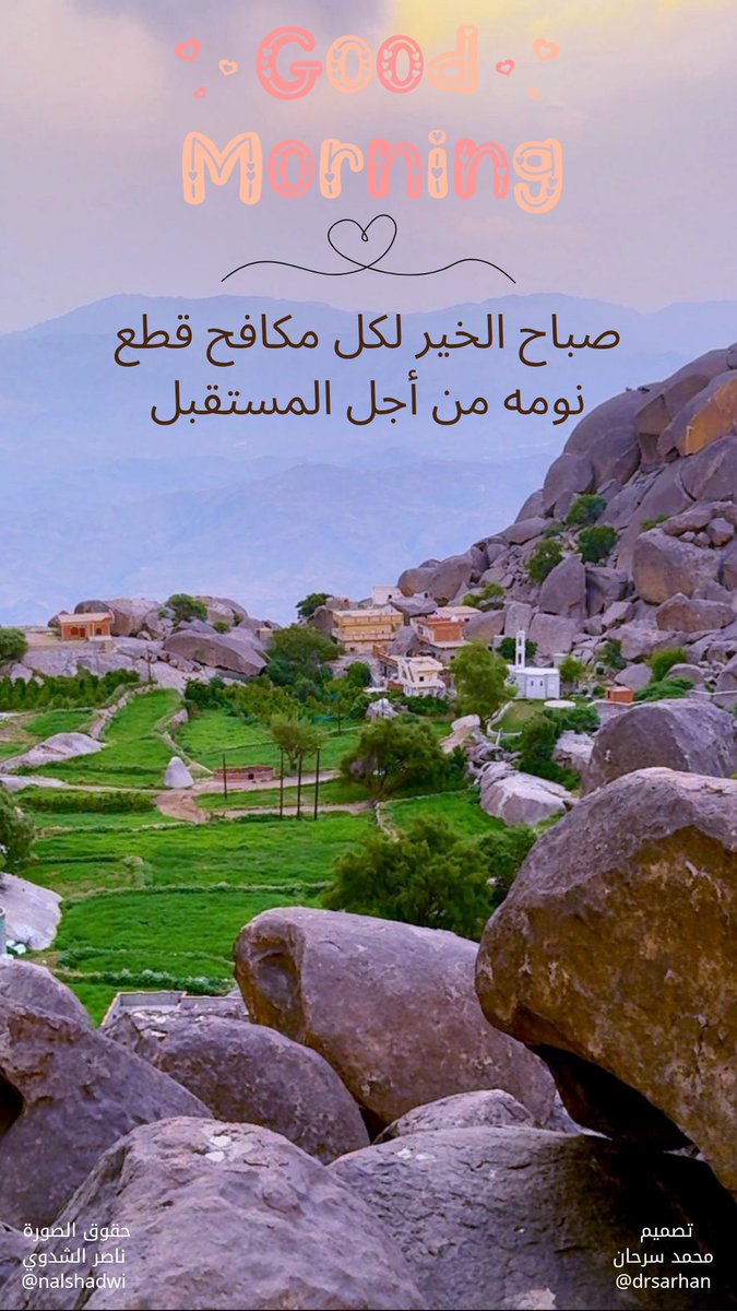 Mohamed Sarhan tweet media