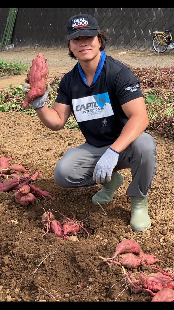 気分転換 - Search / X