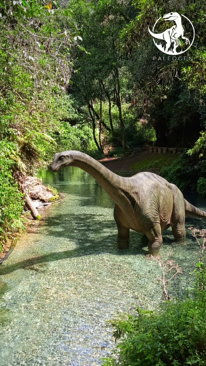 SmartExplorer9's tweet image. These picture are from a river than it's so close to my city, But I put some prehistorical animals on them. / Estás fotos son de un rio que está cerca de mi ciudad, pero les puse algunos animales prehistóricos en ellas.