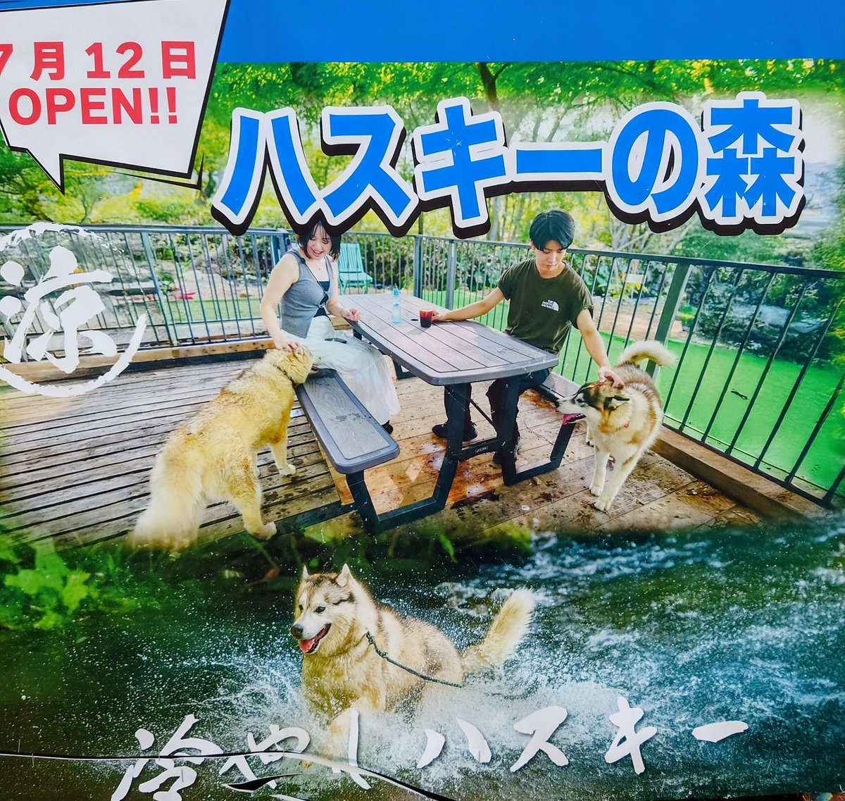 にゃん。＠公式ファンサイト2 (@nyan_nyan_club2) / X