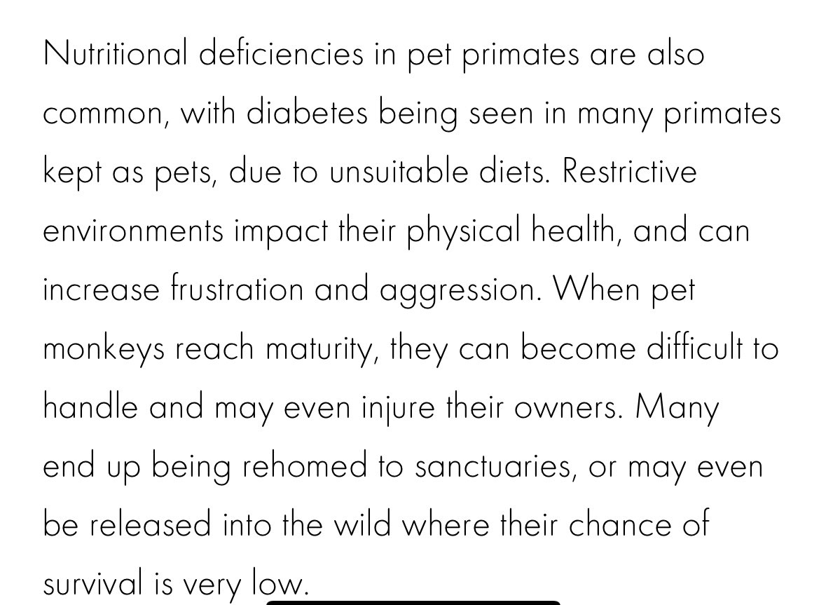 misha |-/ tweet media