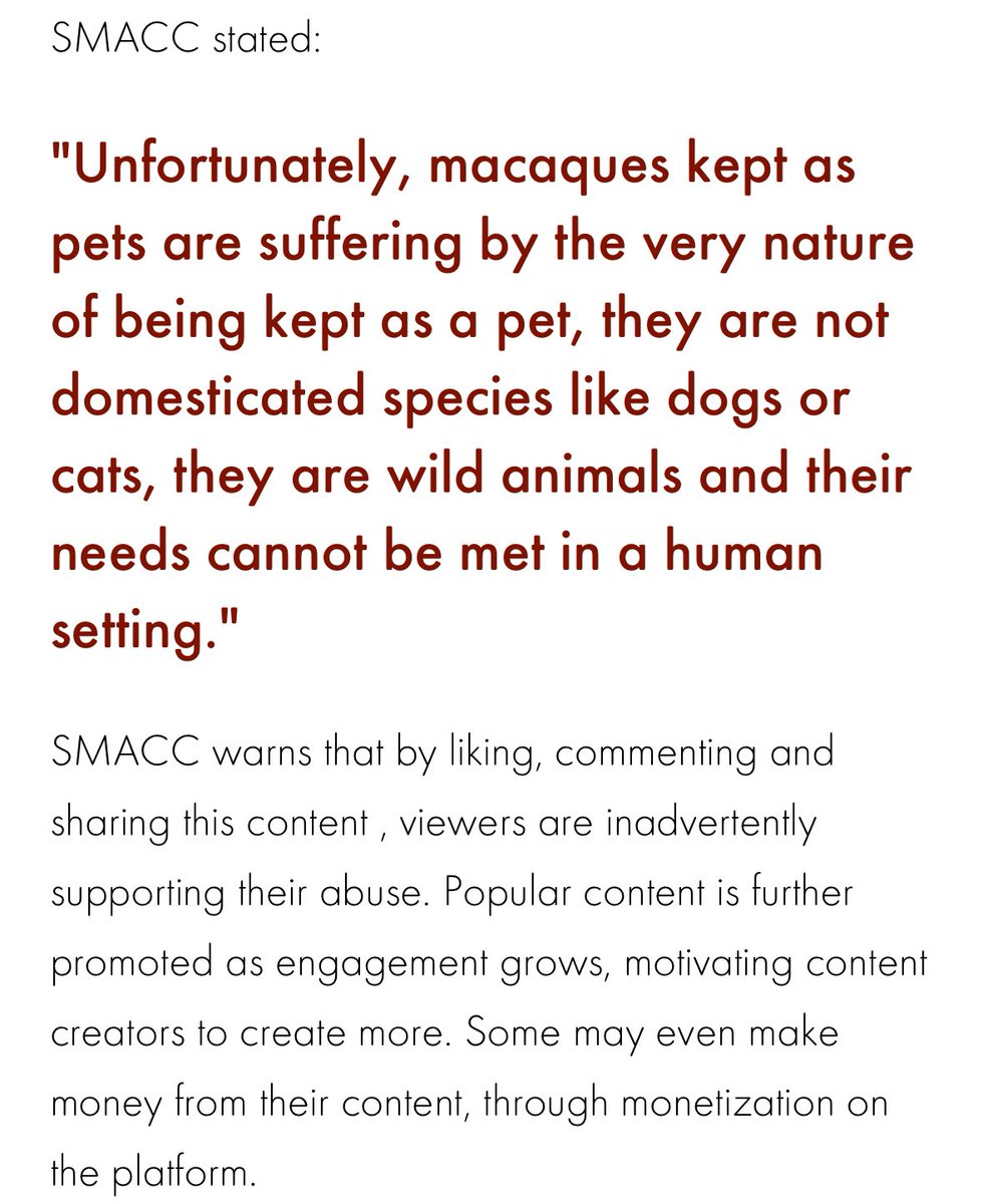 misha |-/ tweet media