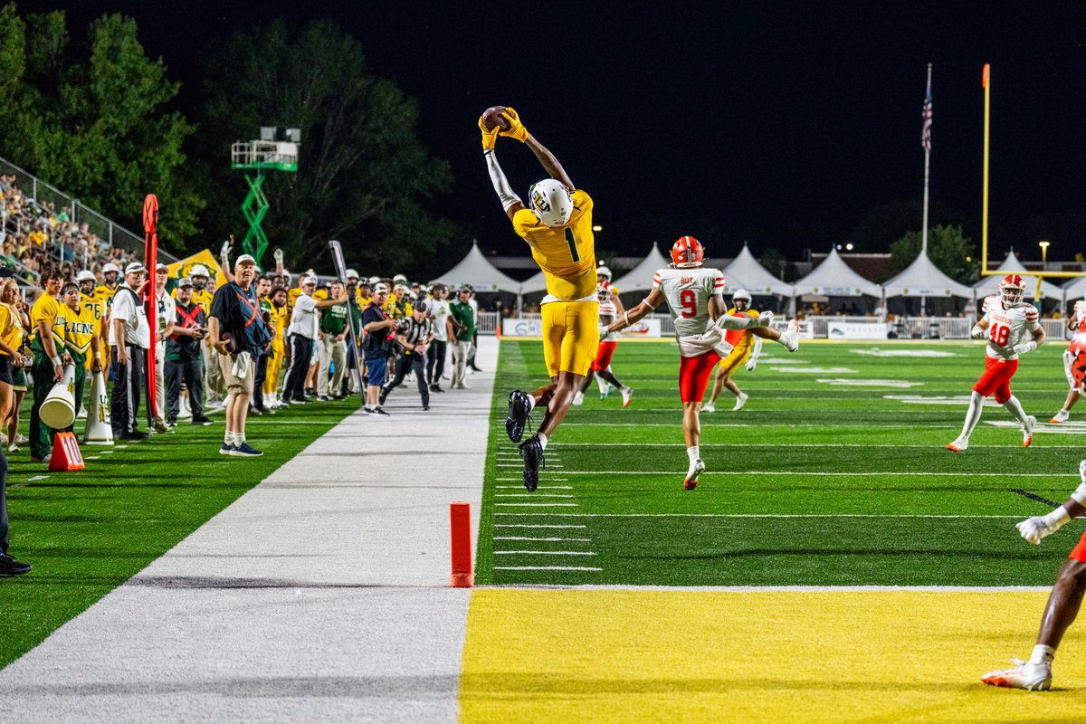 LionUpNetwork's tweet photo. That kind of night. #LionUp https://t.co/MORP7awsea