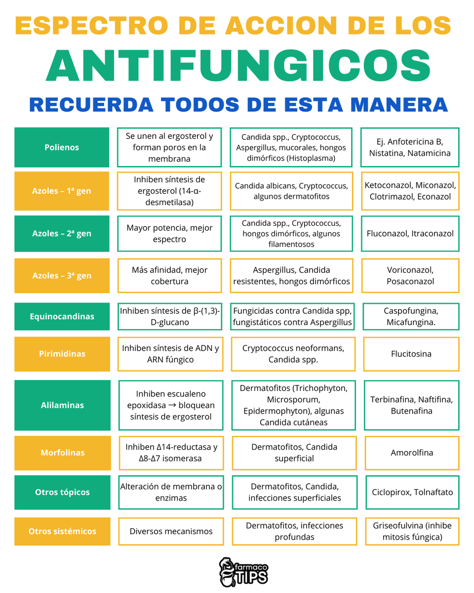 farmacotips's tweet photo. ESPECTRO DE ACCIÓN DE LOS ANTIFUNGICOS 
RECUERDA TODOS DE ESTA MANERA https://t.co/U5haRCAKSk