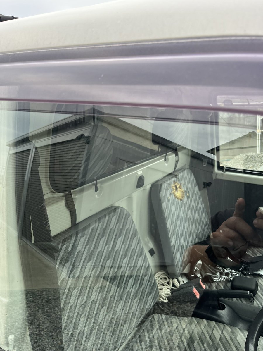 カメムシ君いつから君は、いたんだい？

自主的に出ていってもらうためにしばらく時間がかかった