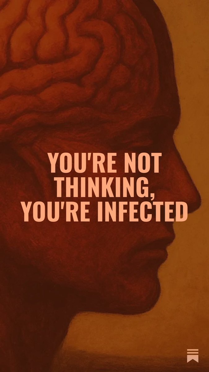 open.substack.com/pub/allexferre…