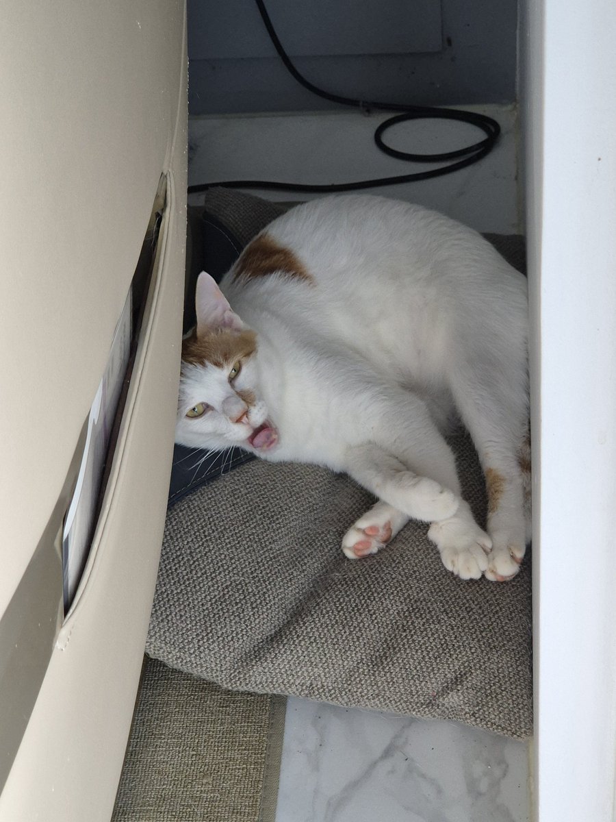 아니 이게 뭐야
미안하다