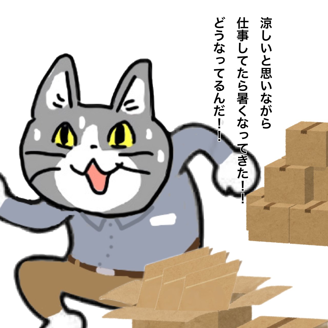 現場猫 - Search / X