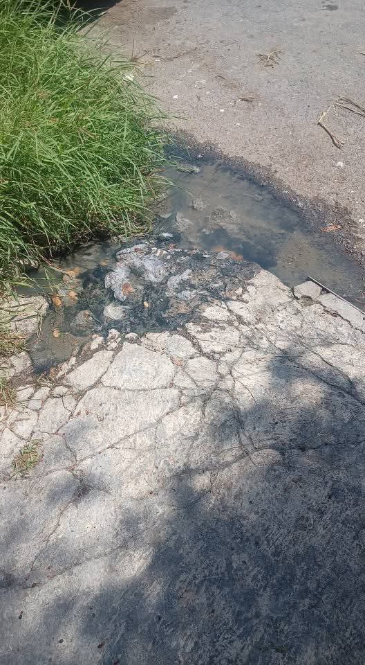 1VerusK's tweet photo. Haber si con @eduardoortwill en @ayd_monterrey si hay respuesta a las quejas de vecinos de la Col Vidriera que reportan fuga de aguas negras en la calle Vidrio Plano 821 @info7mty @elnortelocal @telediariomty @TelevisaMty  @AdrianDeLaGarza @NlSalud @Cicmty @ABCNoticiasMX https://t.co/urggJsKPaj