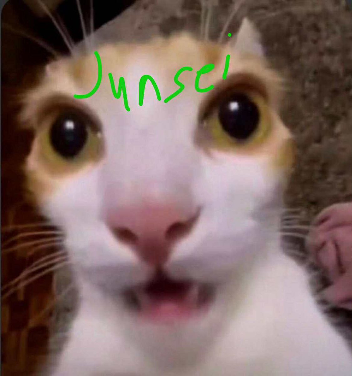 Junsei 🐉🟢💎 tweet media