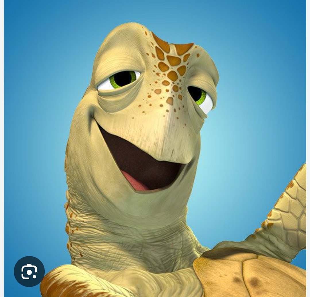 Aguustinto's tweet photo. Siempre que me salta un video de este se me viene a la cabeza que es igual a la tortuga de buscando a Nemo https://t.co/ghbYOZDI9q