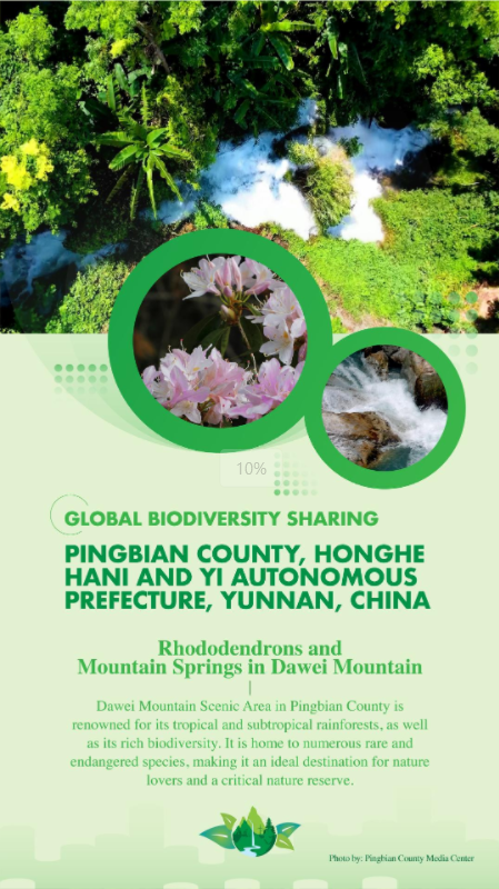 PBP_CIPC's tweet photo. #GlobalBiodiversitySharing 👏
The 2025 International Youth Dialogue on World Cultural Heritage Protection Program took place in , Daweishan National Forest Park of Honghe Hani and Yi Autonomous Prefecture. They conducted biodiversity surveys and observed rare plants and animals. https://t.co/nBv44LqqHP