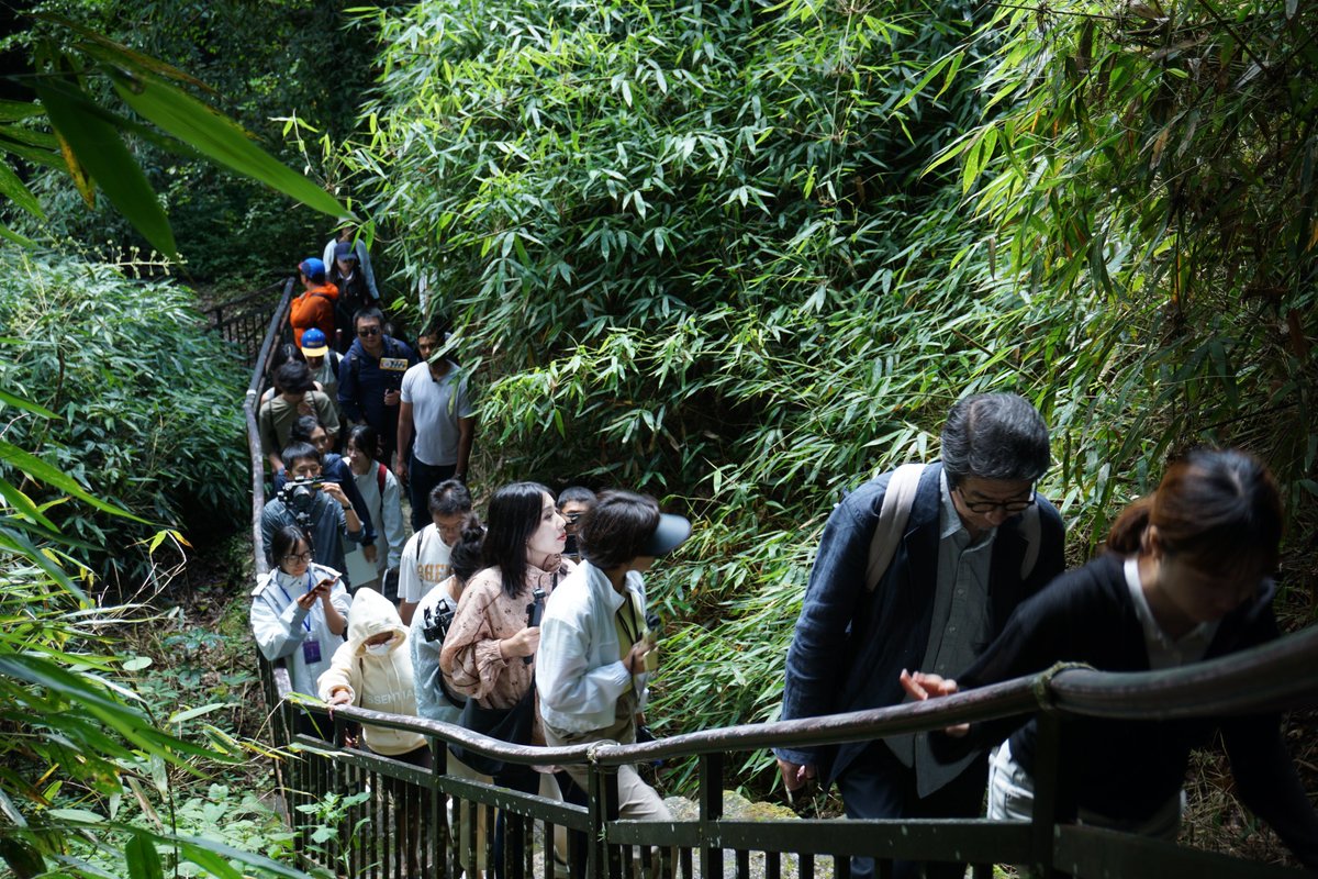PBP_CIPC's tweet photo. #GlobalBiodiversitySharing 👏
The 2025 International Youth Dialogue on World Cultural Heritage Protection Program took place in , Daweishan National Forest Park of Honghe Hani and Yi Autonomous Prefecture. They conducted biodiversity surveys and observed rare plants and animals. https://t.co/nBv44LqqHP