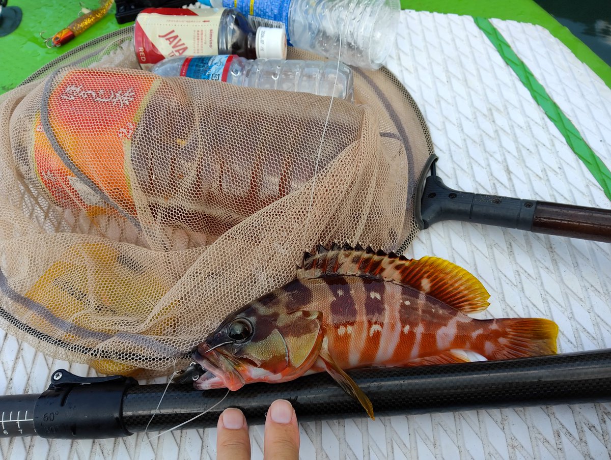 ラグーンの釣り人 tweet media