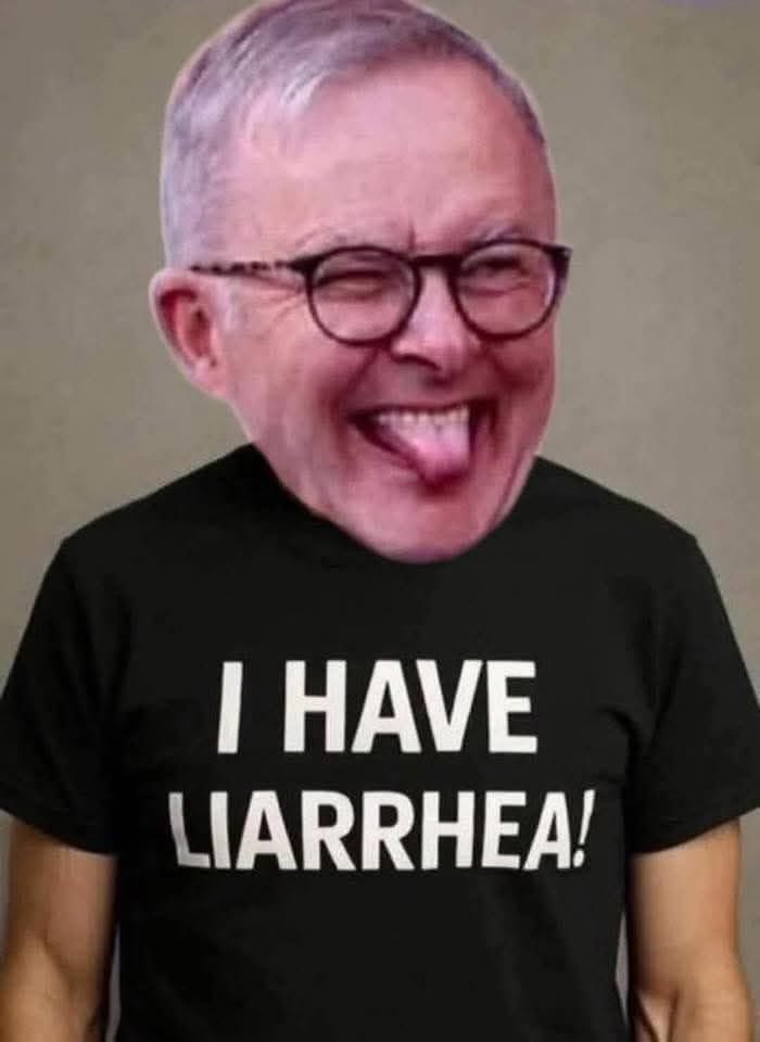 Mez_Of_Oz's tweet photo. @SkyNewsAust I’m sure @realDonaldTrump @POTUS is aware of the 💩 that spews from #UselessPM @AlboMP pi$$pot’s mouth… https://t.co/u3V55fPELQ