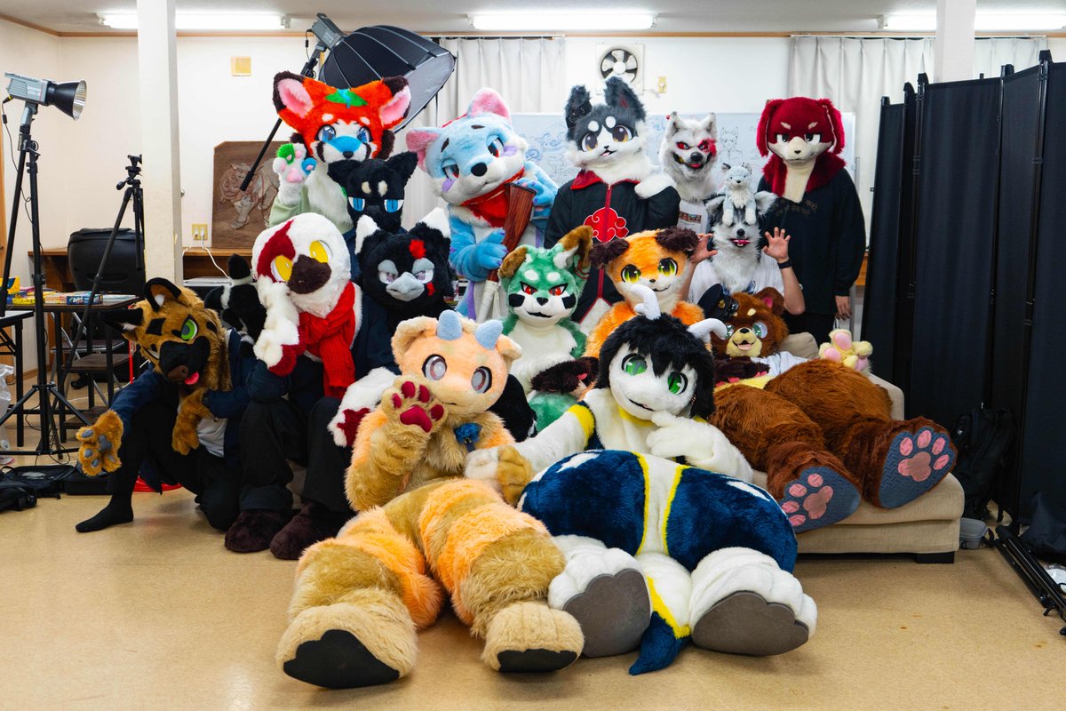 Furry研究会 tweet media