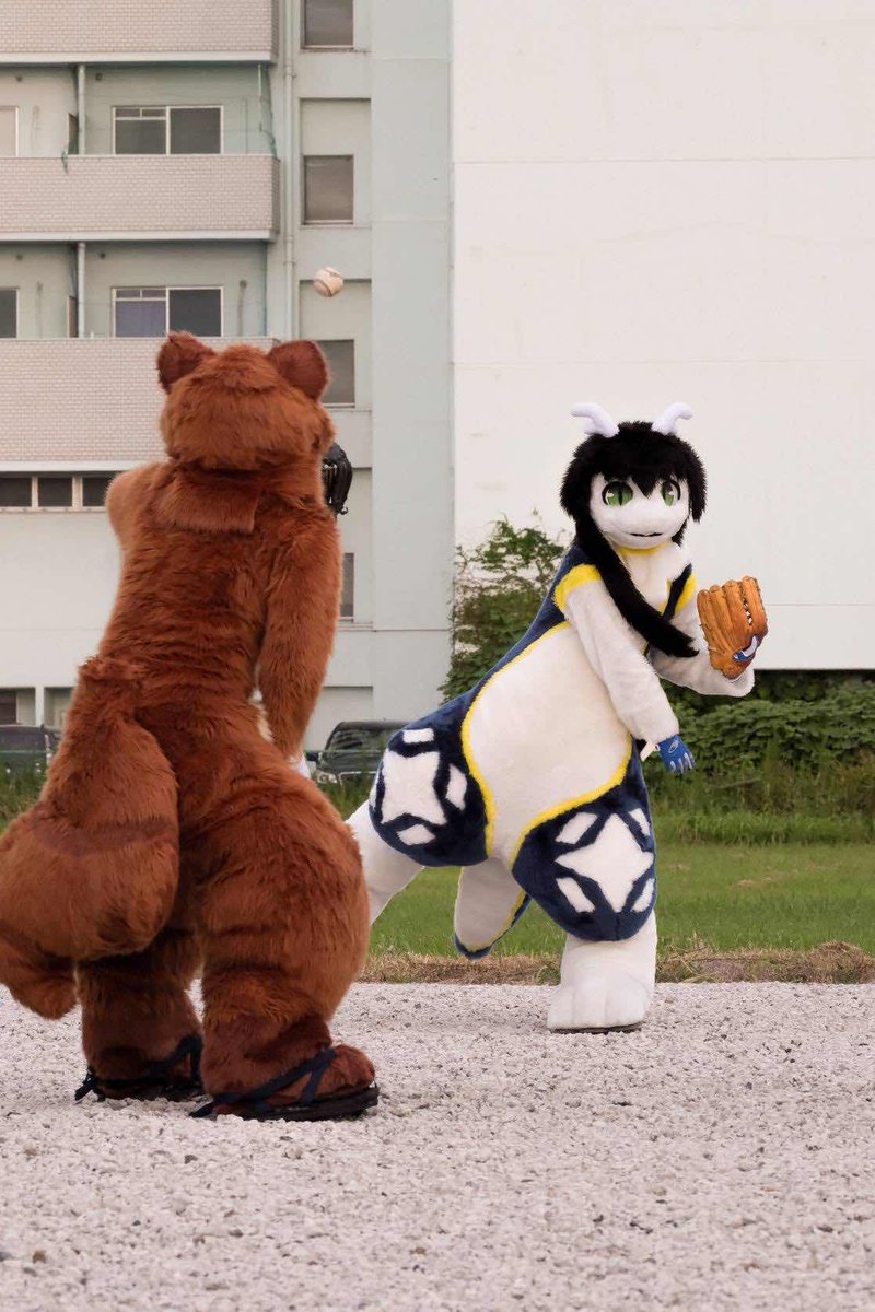 Furry研究会 tweet media