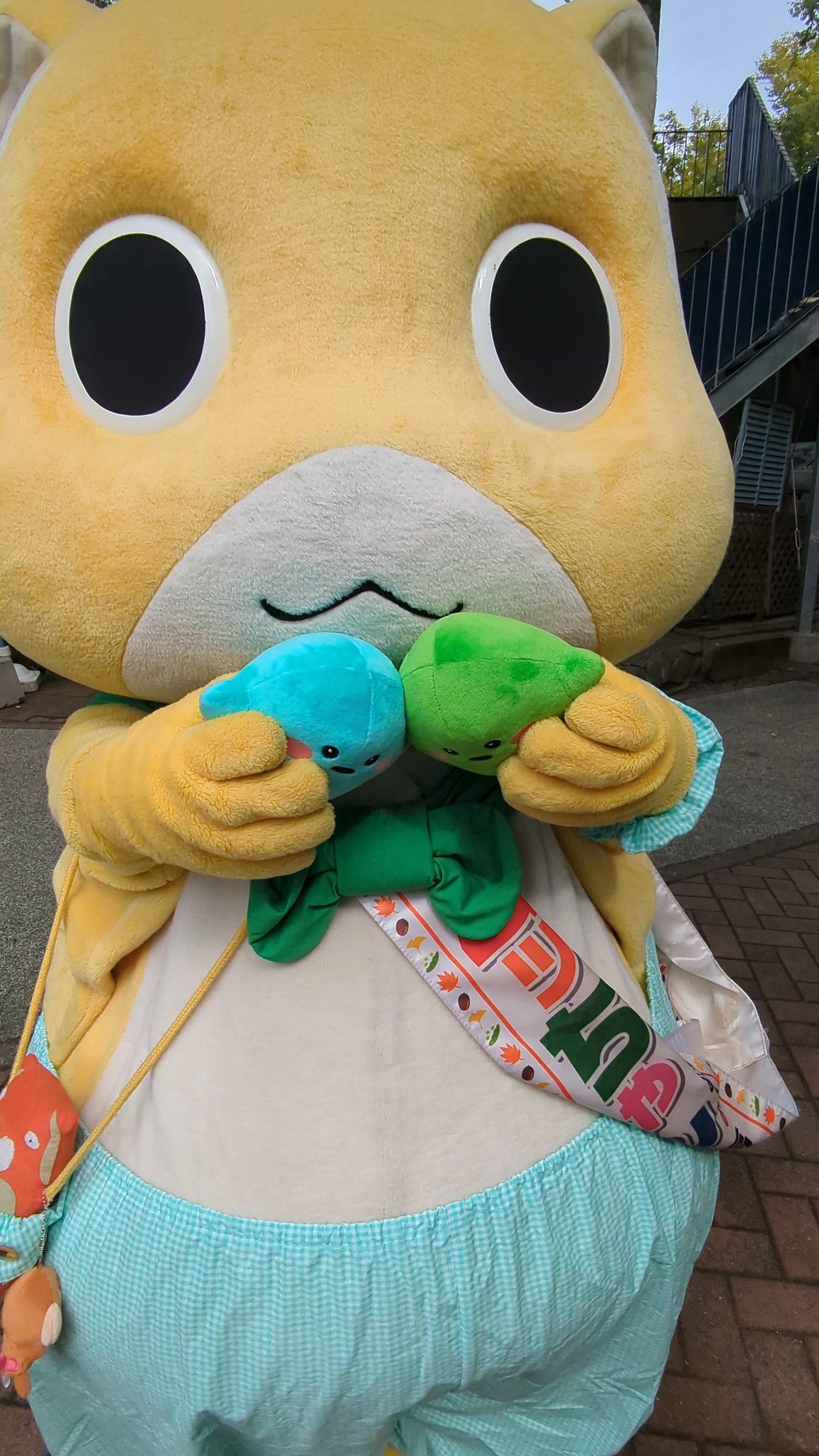 むーちゃん ケンちゃん（グラインダなし） M801 ツムラの通販（通信販売