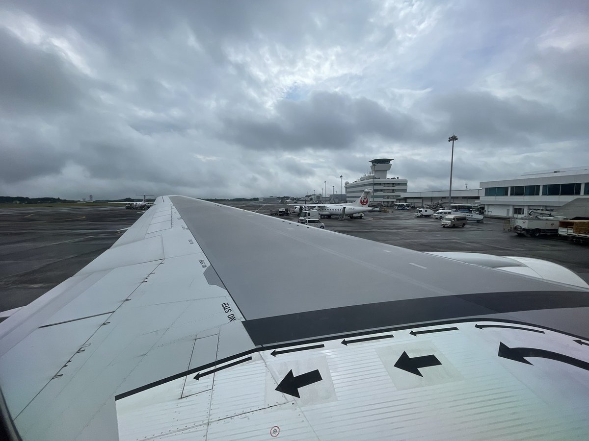 今日は揺れるらしい🙄