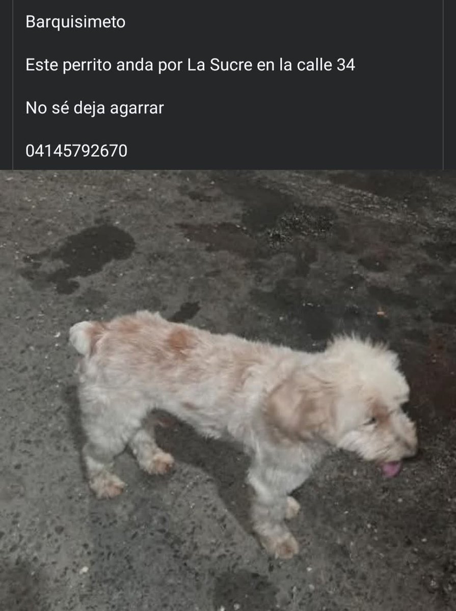 Atención Barquisimeto