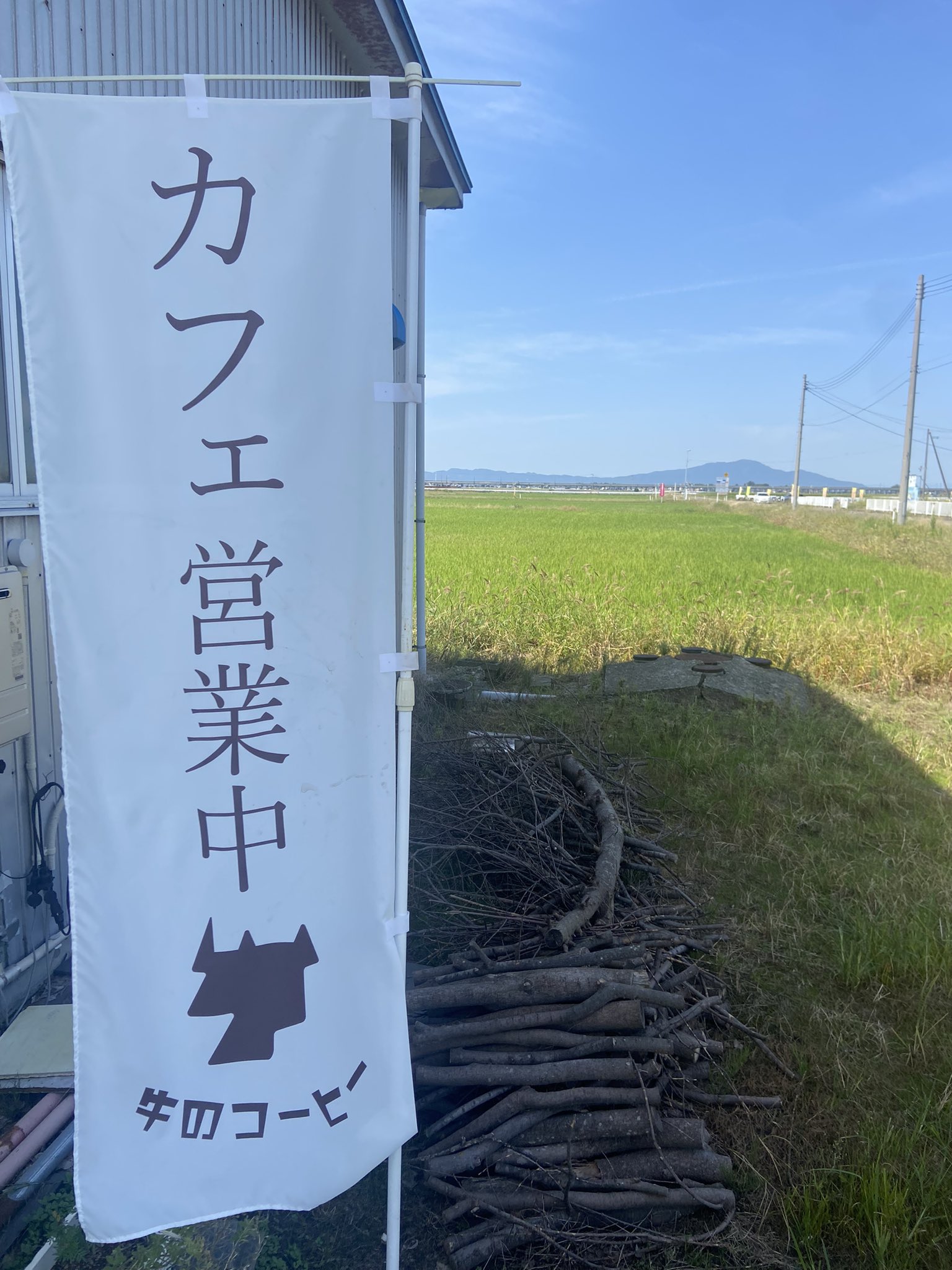 わかな (@chip_teatime) / X