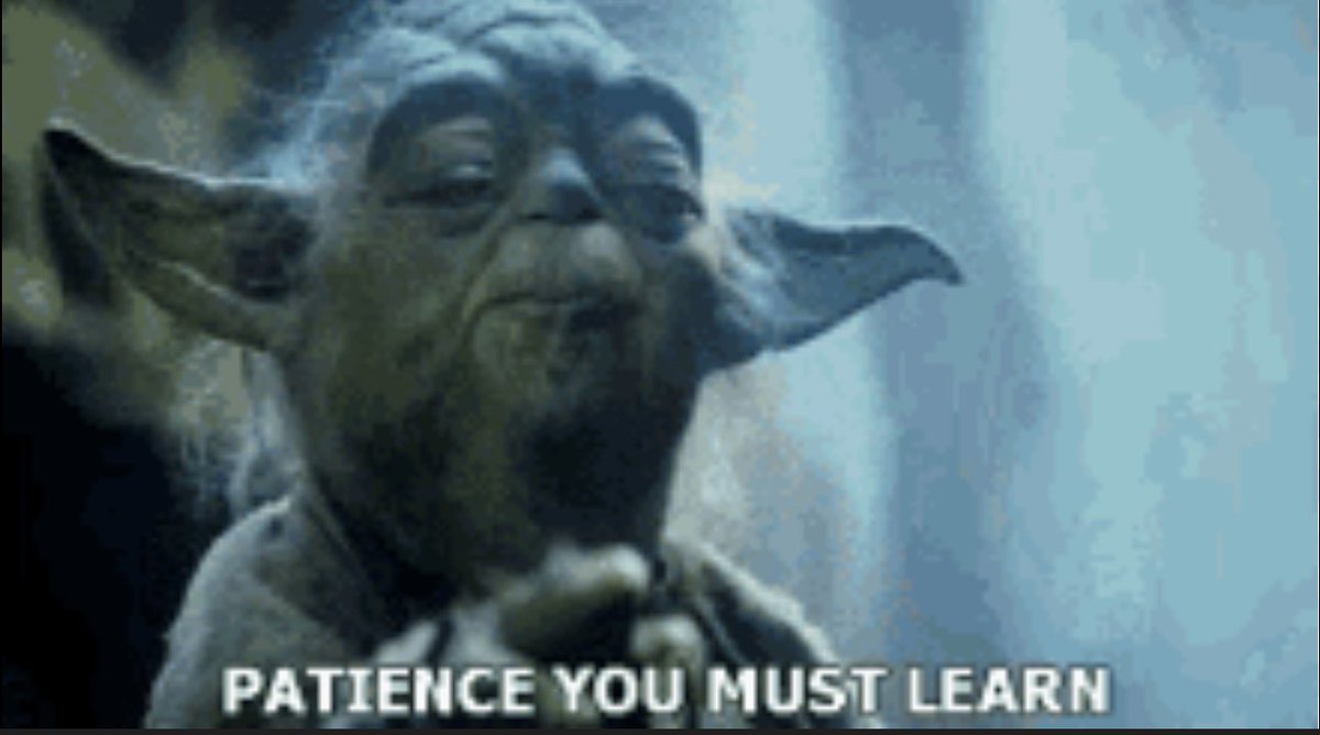 Lion2Hammer's tweet photo. Patience https://t.co/TPFPaqgkfn