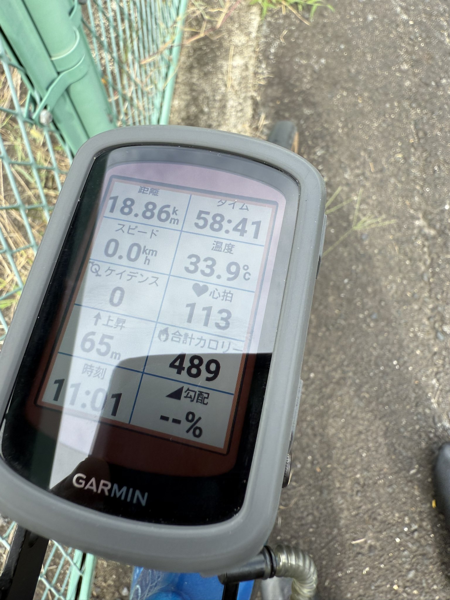 キリ坊🚴‍♂️🐲🐎 (@kiribow) / X