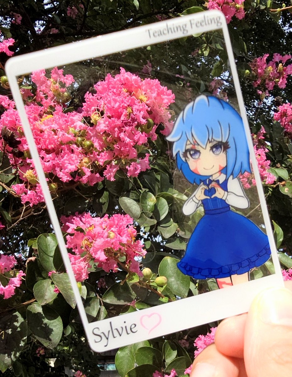 シルヴィちゃんとサルスベリ