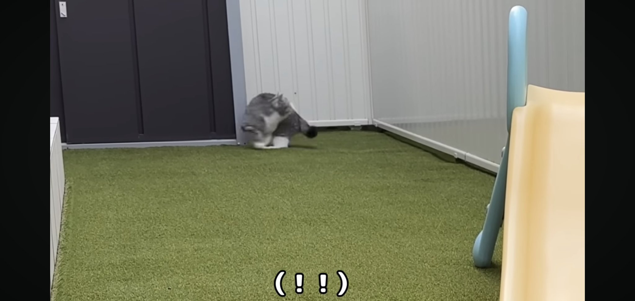 もちまる もちまる商店